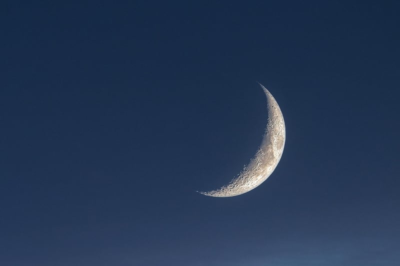 Moonlit Ceremony